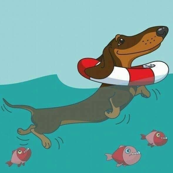 Смешная собака рисунок