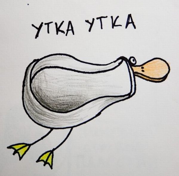 Селезень смешной рисунок