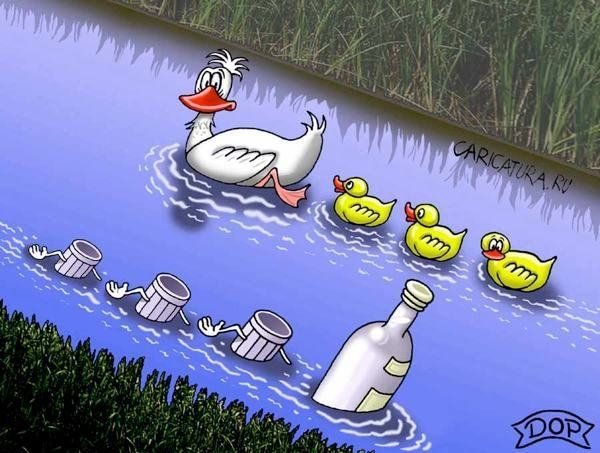 Карикатура утки