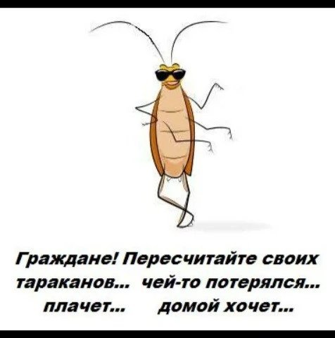 Смешные изображения тараканов