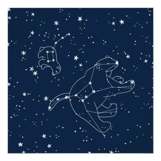 Стилизованные изображения созвездий