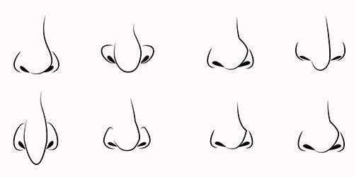 Нос в анфас мультяшный