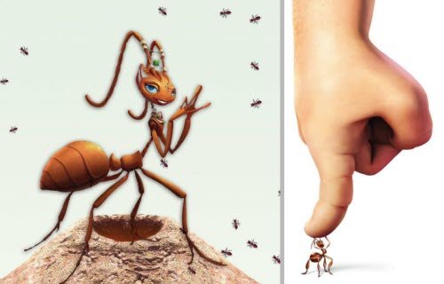 Рыжий муравей превращение