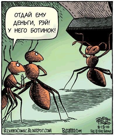 Приколы про муравьев