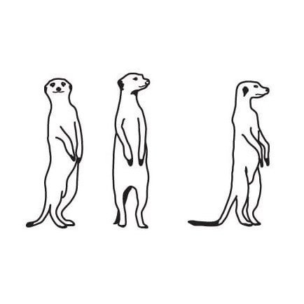 Сурикаты National Geographic