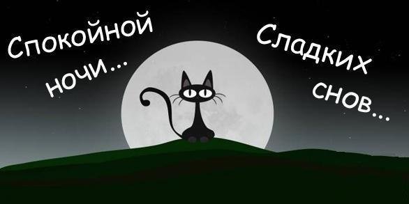 Спокойной ночи любимая