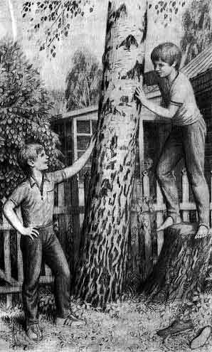 Нина Михайловна Артюхова «большая береза»,