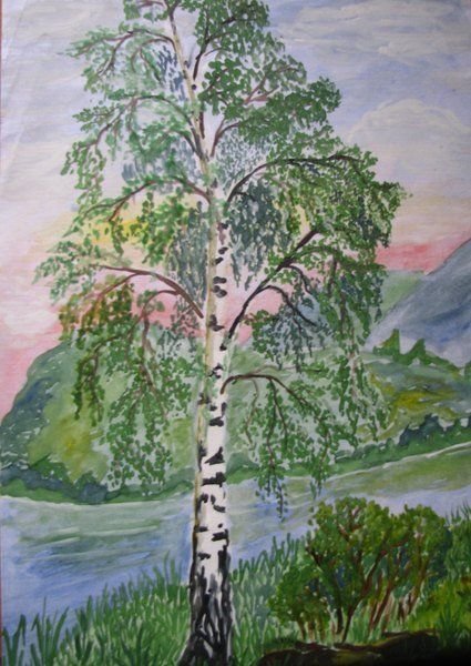 Береза красками