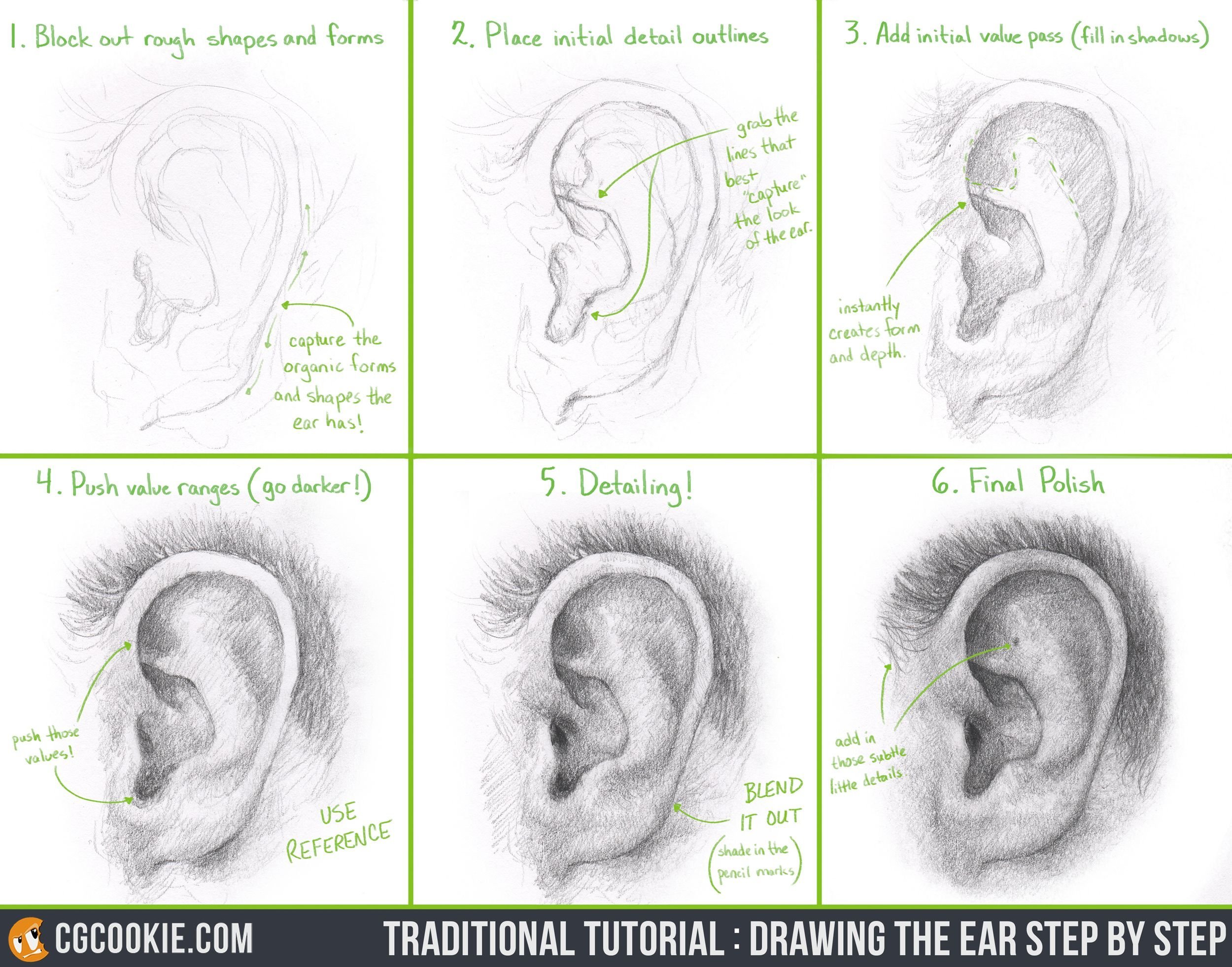 Как нарисовать уши на портрете