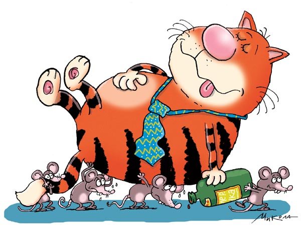 Котик для новоселья