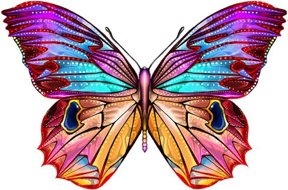 Большие цветные бабочки