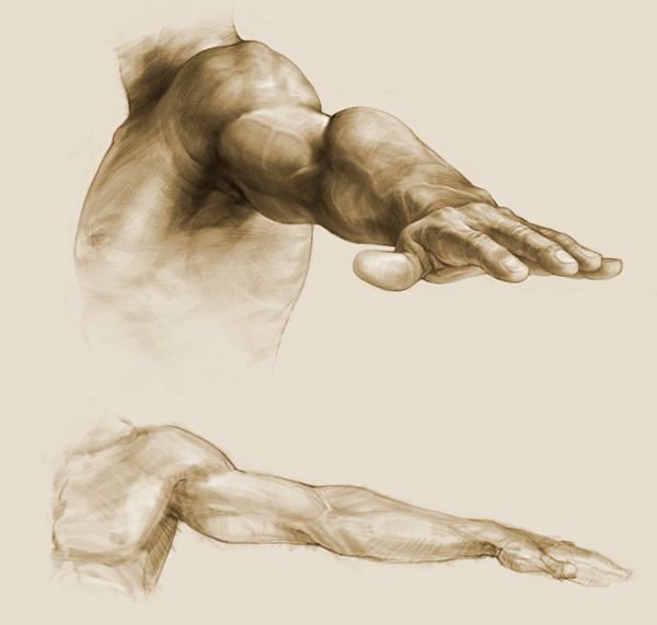 Руки тянущиеся друг к другу карандашом