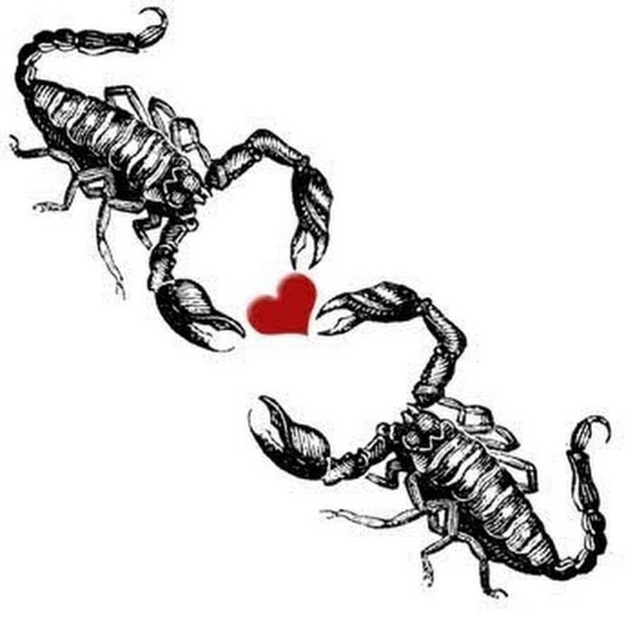 Скорпион мужчина сегодня любовный. Смешной Скорпион. Скорпион рисунок смешной. Скорпион карикатура. Скорпион смешные картинки.