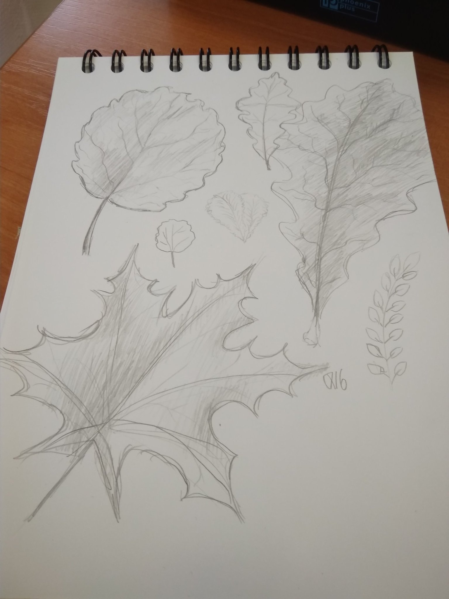 Красивые листья рисунки