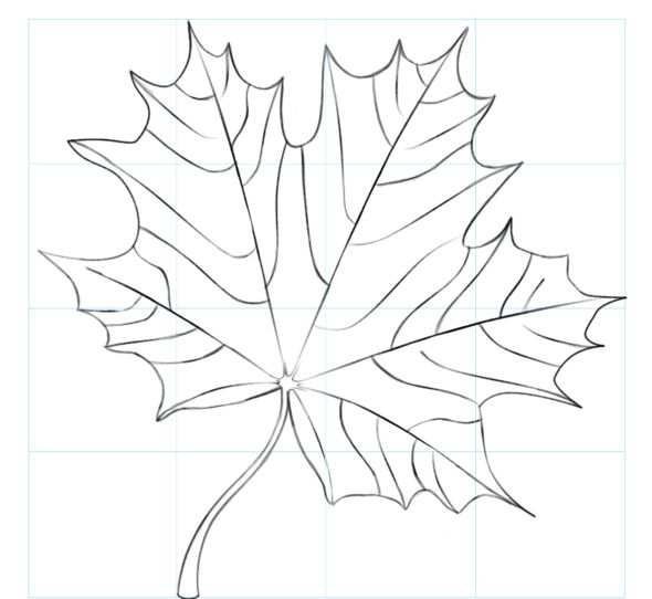 Листья шаблон