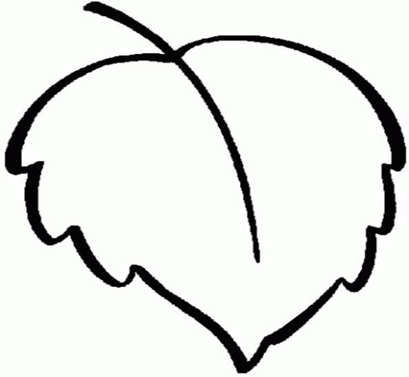 Рисунки на большой листок (43 фото)