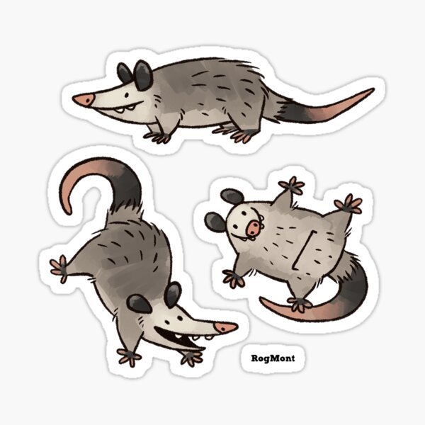 Опоссум нарисованный