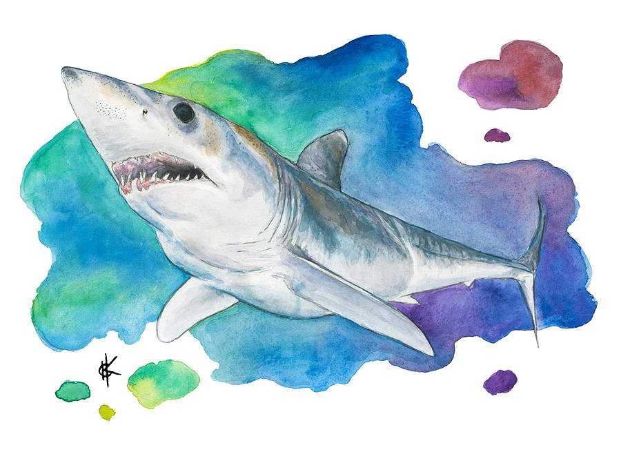 Акула детский рисунок