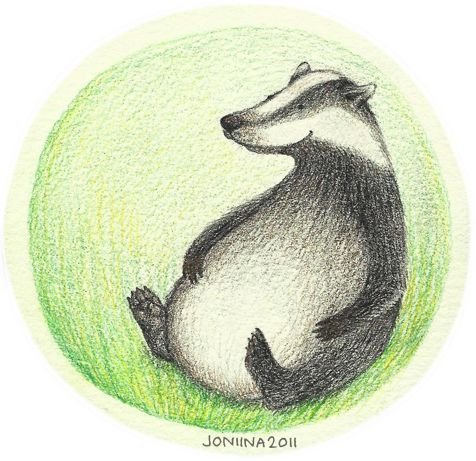 Изображения барсука