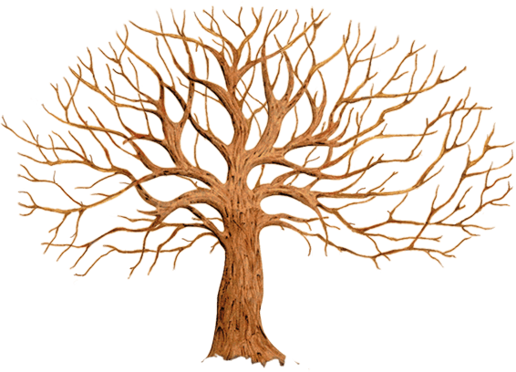 Коричневое дерево без листьев