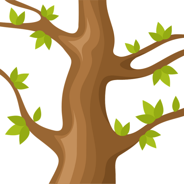 Ствол дерева с ветками