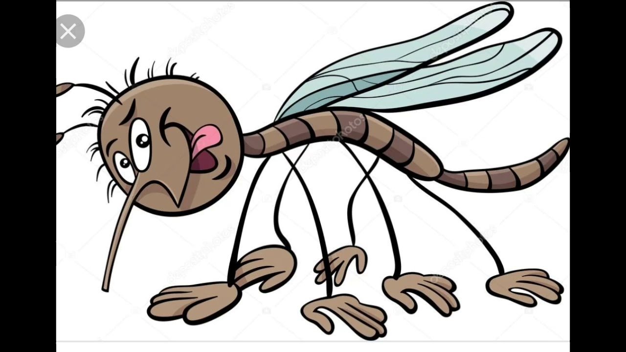 Смешной комар из мультика