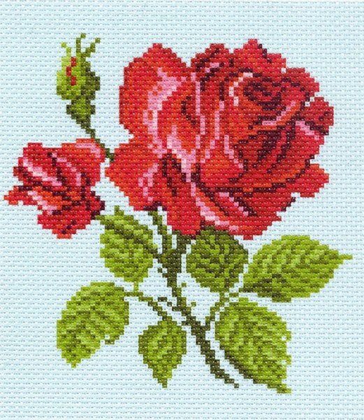 Матренин Посад красная роза