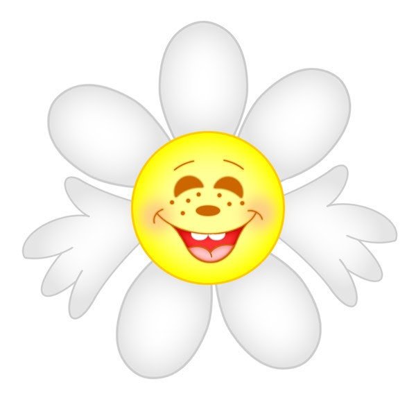 Ромашка с улыбкой