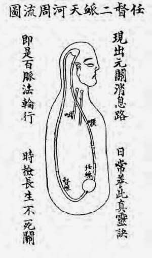 Схема циркуляции энергии Ци