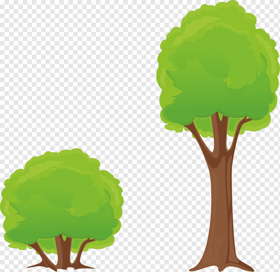 Высокое и низкое дерево