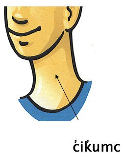 Шея мультяшная