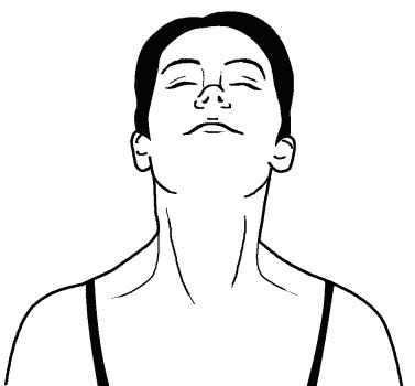 Лицо с шеей рисунок