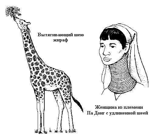 Легкий отклон головы назад