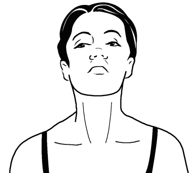 Баммес плечевой пояс