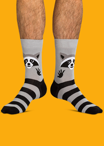 Носки крошка енот