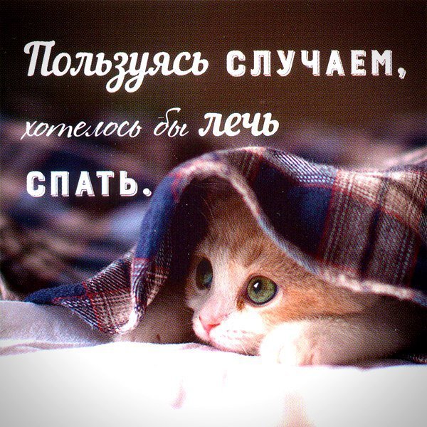 Спать пора спокойной ночи