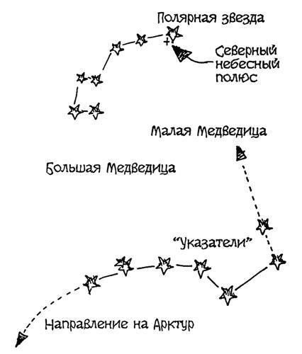 Созвездие большая и малая Медведица схема