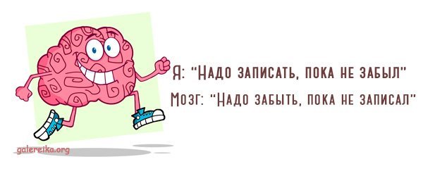 Шутки про мозги