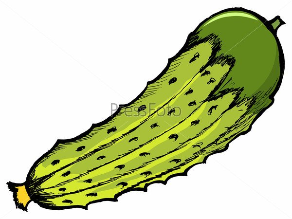 Ободок огурец