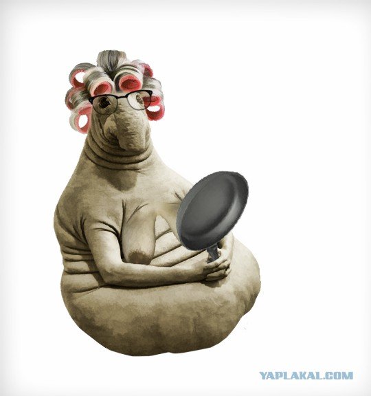 Ждун смешной