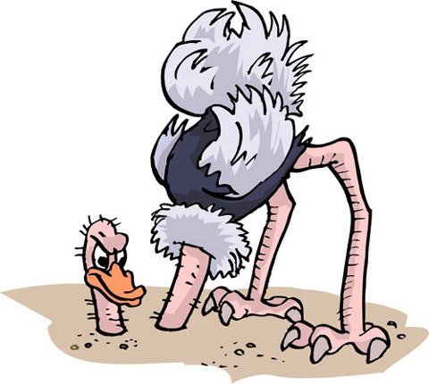 Смешной страус арт