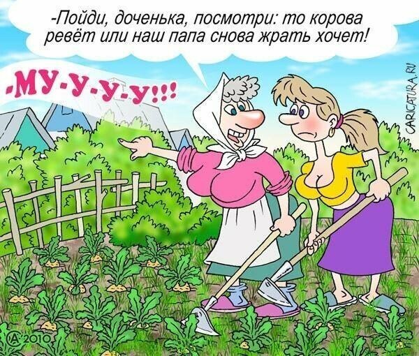 Приколы про огород и дачу