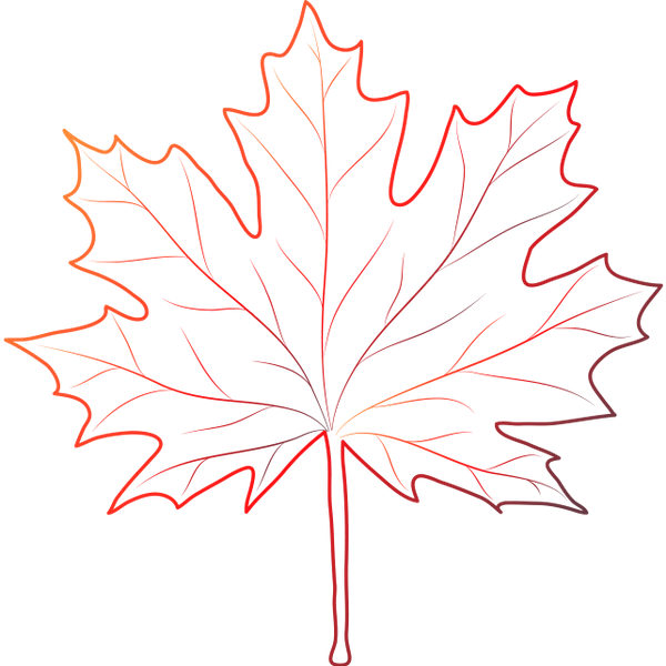 Кленовые листочки рисовать