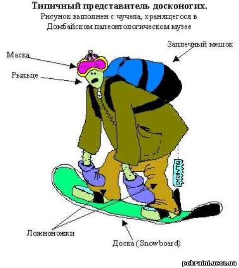 Шутки про сноуборд