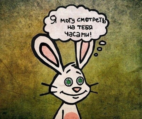 Приколы в прямом смысле