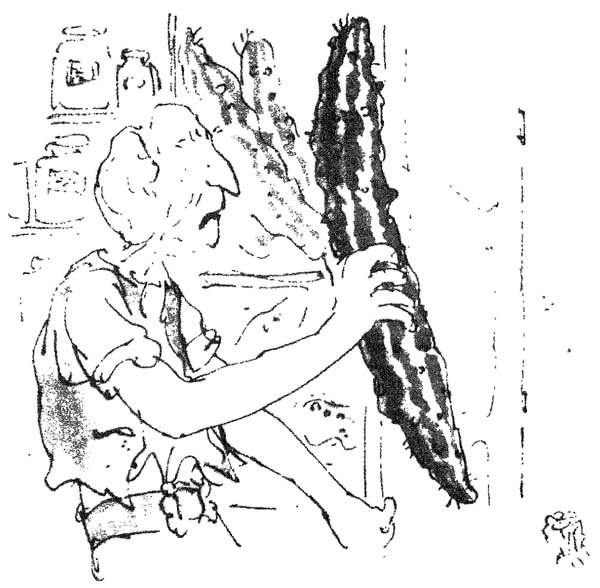 Роальд даль БДВ