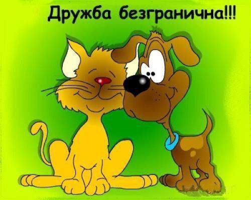 Смешные открытки про дружбу