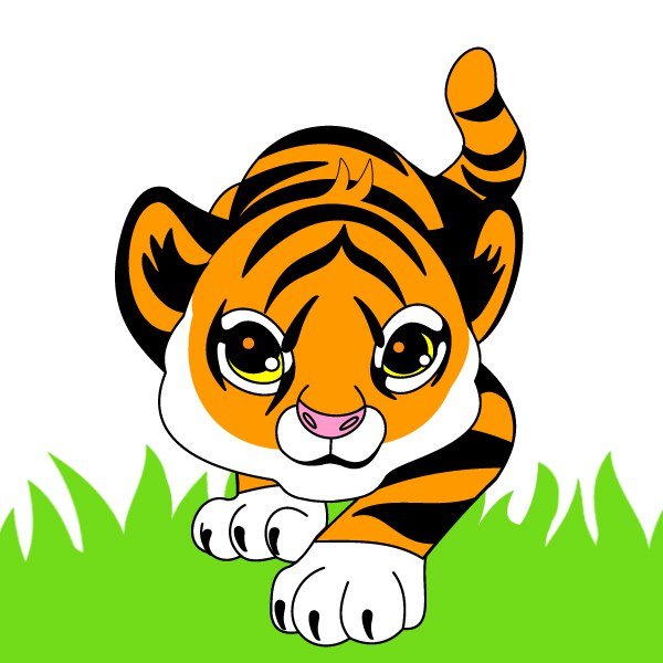 Мордашка тигренка