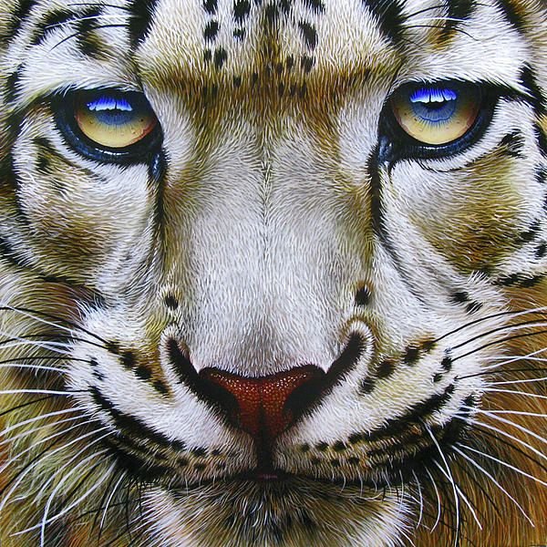 Jurek Zamoyski художник