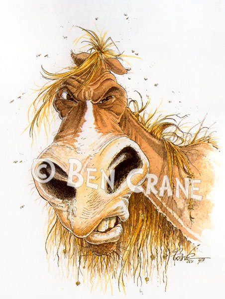 Смешная Старая лошадка кляча